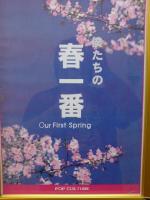 僕たちの春一番