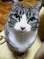 ペー君です