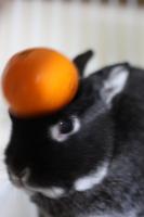 もにゅもにゅ