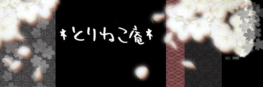 着物の着付け*とりねこ庵*ブログ