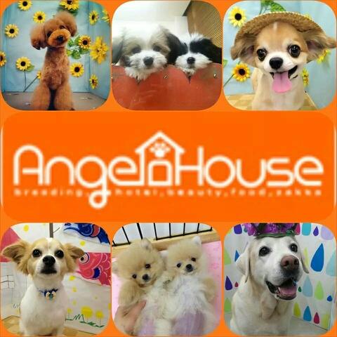 *Angel House*