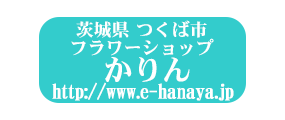 茨城県つくば市 花屋 配達 宅配フラワーショップ茨城県TsukubaFlowerShopHanayaIbaraki 茨城県つくば市 花屋 配達 宅配フラワーショップ茨城県TsukubaFlowerShopHanayaIbaraki