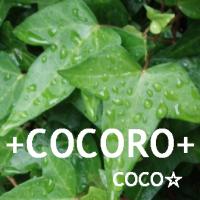 cocoro
