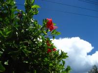 ｓｋｙ