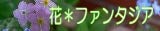 タイトル２