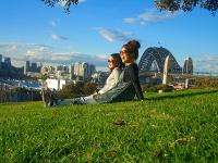 harbour bridge