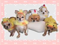 ☆ウキキ族☆