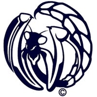 BLUEMANTIS LOGO