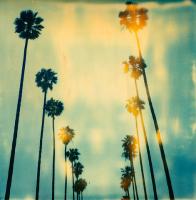 summer time