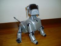 AIBO
