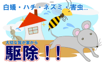 しろりん