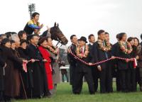 ７冠馬