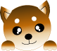 柴犬