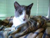 ジョージ
