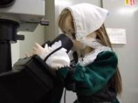 ねこかんうまいかん