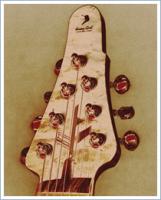 guitarhead