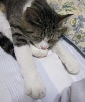 くぅ