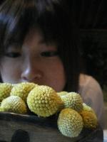 柳瀬真弓