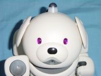 うちのAIBO