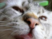 bubu♪　あっぷっぷ