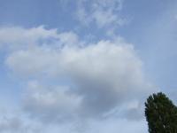 空