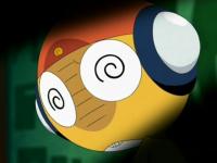 おかめこおろぎ