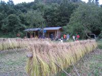 渡良瀬エコビレッジ 小野寺の里山