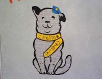 hachi
