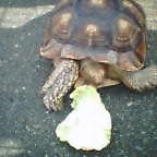 はじめまして