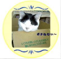 chisuke
