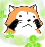 すみこ