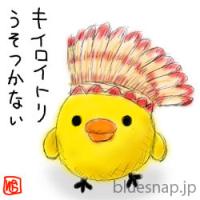 ｷｲﾛｲﾄﾘ