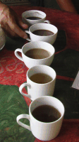 cafe
