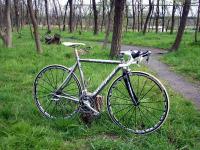 litespeed vortex2