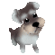 にんたま