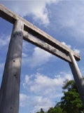 kotowari