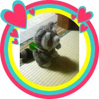 ☆ＰＲＩＮＣＥＳＳ・ＨＡＲＵＮＡ☆