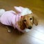 mi-koのサムネイル