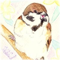 すずめ