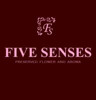 FIVE SENSES