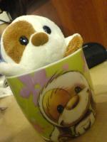 jiamin-t
