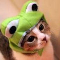 ネトゲの相方とは ここでぶちまける ネトゲの本音