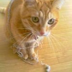 モロヘイヤ 花言葉 健康回復 かわいい黄色い花ですねぇ 初めて見ました Nekocchiさんのブログ モロヘイヤ 花言葉 健康回復 かわいい黄色い花ですねぇ 初めて見ました Nekocchiさんのブログ