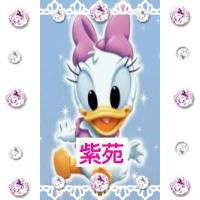 紫苑
