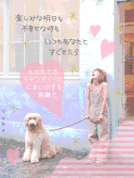 ふうヵ