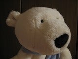 しろくま