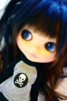 希瞹-ＮoＡ-