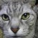 編集機関EditorialEngineの和風良哲的ネタ帖:ProScriptForEditorialWorks