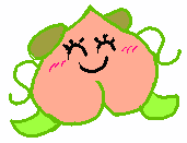 わんもも