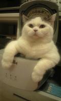 ゆんぼ